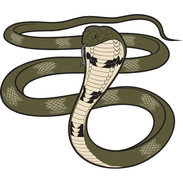 KingCobra01NC2clr Thumbnail
