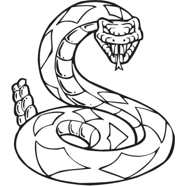 SNAKE5 Thumbnail