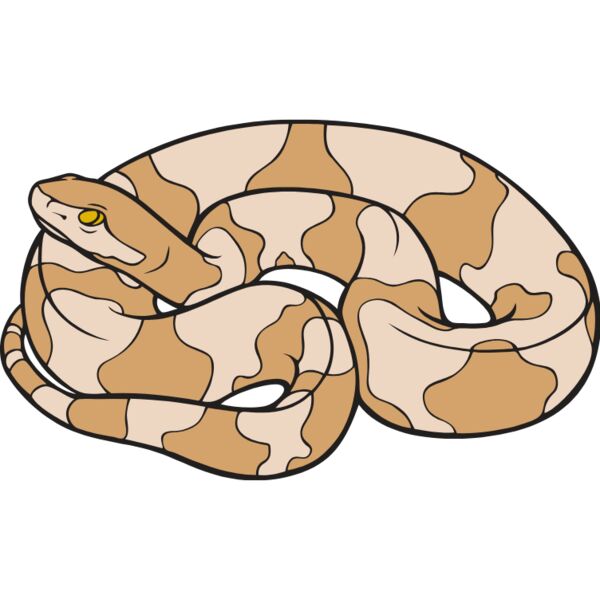 Copperhead01NC2clr Thumbnail