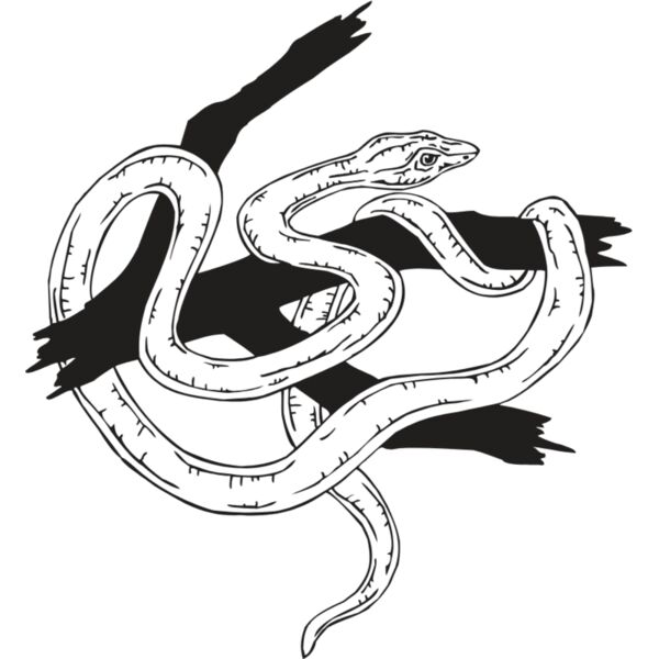 SNAKE8 Thumbnail
