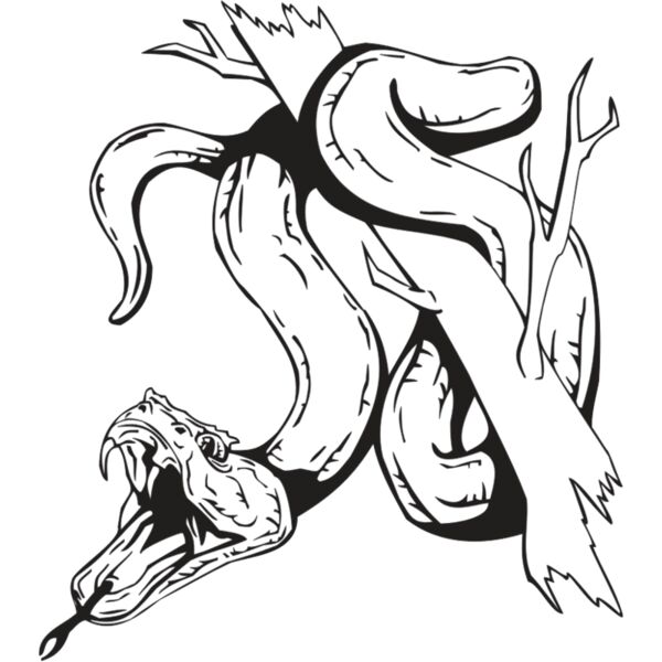 SNAKE Thumbnail