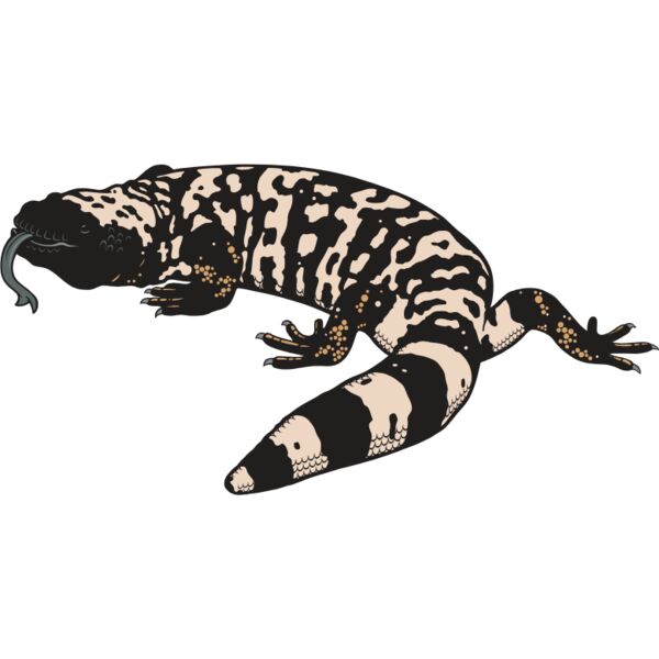 GilaMonster01NC2clr Thumbnail