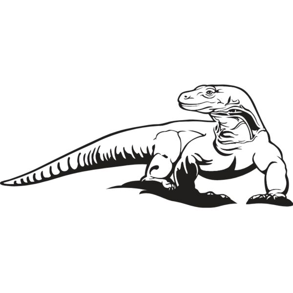Komodo1NC2bw Thumbnail