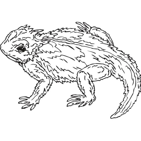 HORNED L Thumbnail