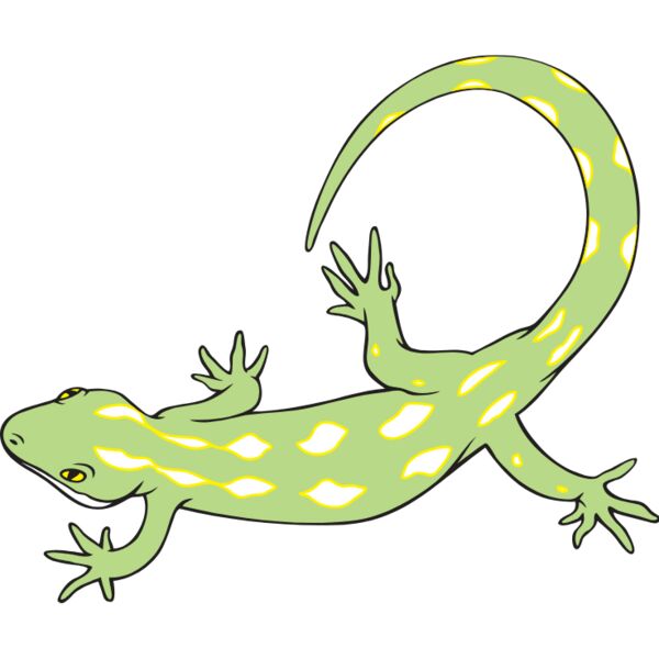 NorGreenGecko01NC2clr Thumbnail