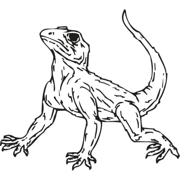 LIZARD 6 Thumbnail