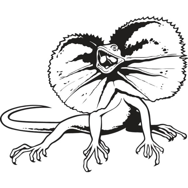 FrilledLzrd01NC2bw Thumbnail