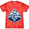 Spider Tie Dye Tees 1001 - Adult & Youth $ Thumbnail