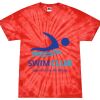 Spider Tie Dye Tees 1001 - Adult & Youth $ Thumbnail