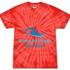 Spider Tie Dye Tees 1001 - Adult & Youth $ Thumbnail